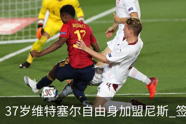 37岁维特塞尔自由身加盟尼斯 签约一年